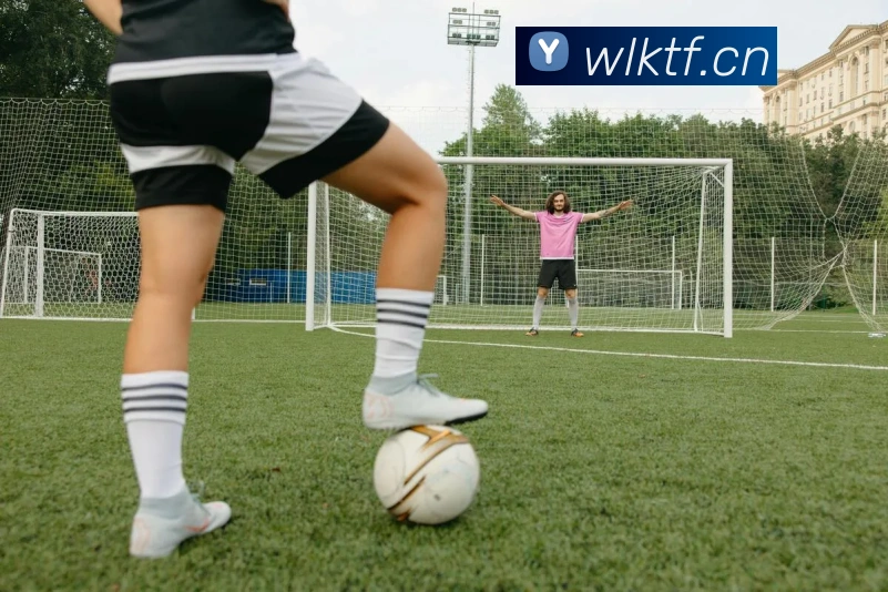 星空网官网登录入口服务体系